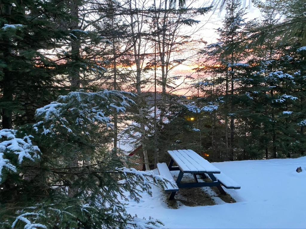 Chalet "Ici Et Maintenant, Sur Le Lac" Sainte-Marguerite-du-Lac-Masson Exterior foto